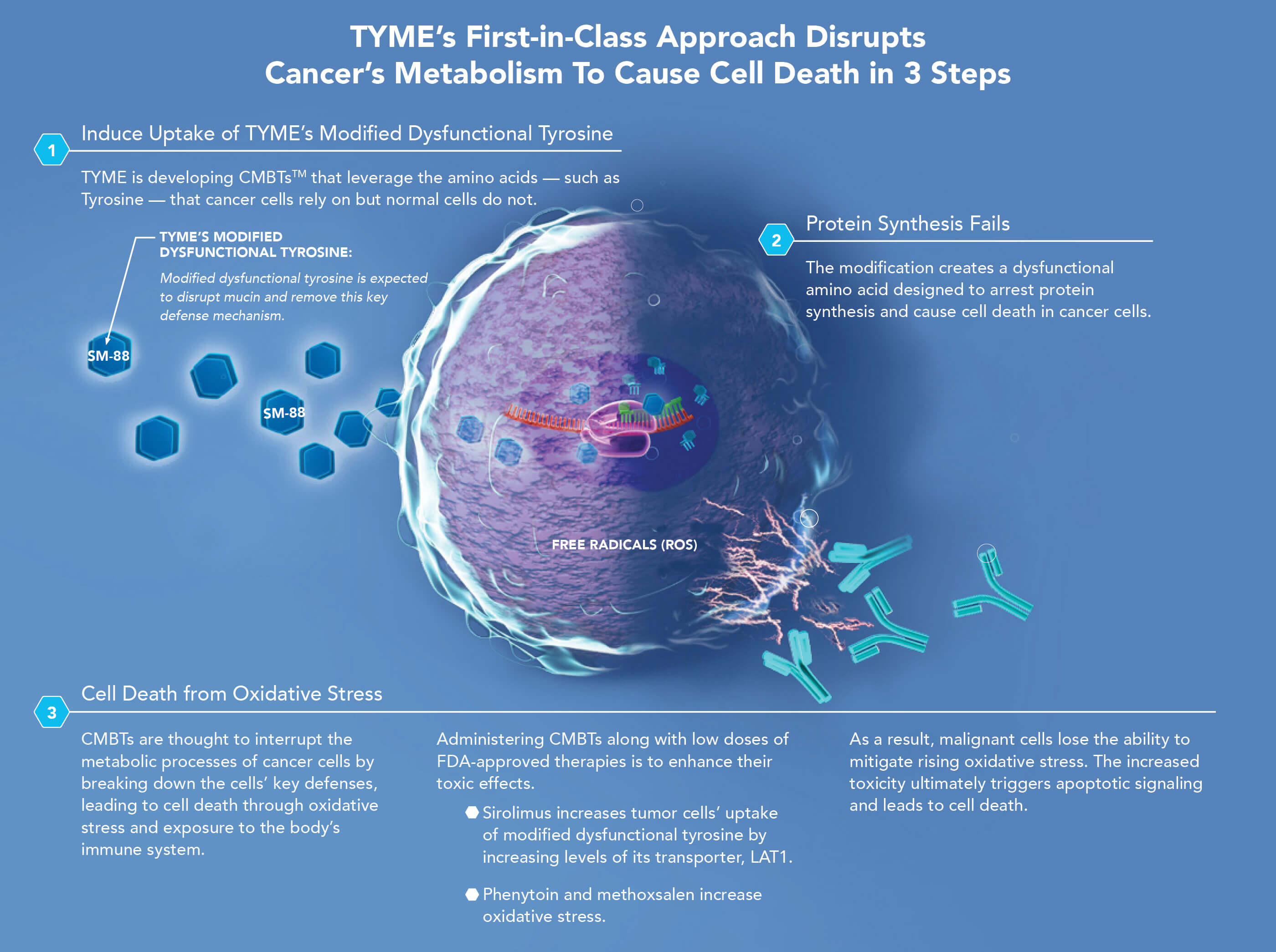 TYME Cancer Metabolism to cause cell death in 3 steps